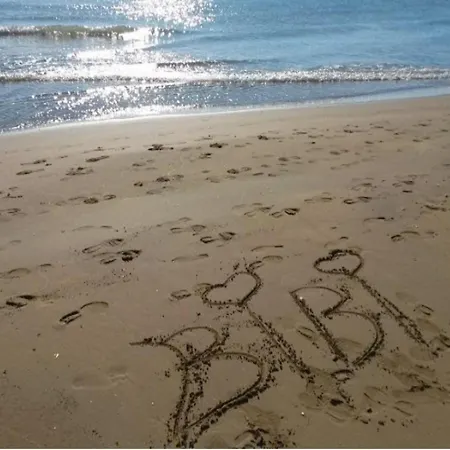 Comfortable And Bright Flat - Beahost Apartman *