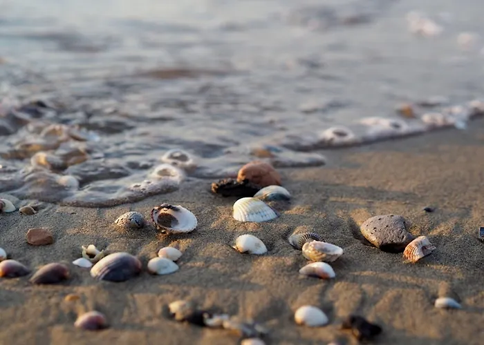 Διαμέρισμα Comfortable And Bright Flat - Beahost *